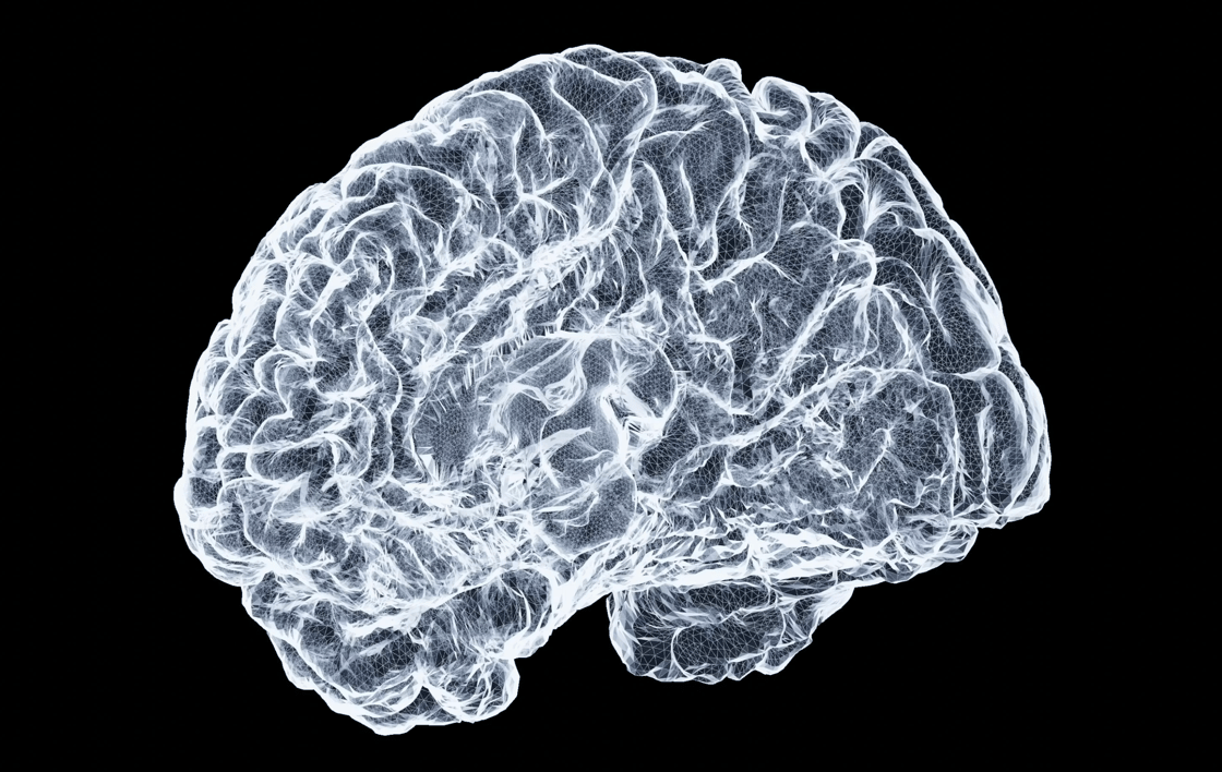 brain-1
