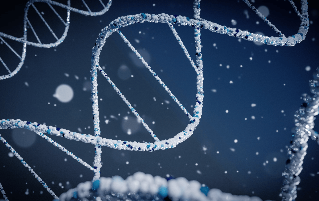 dna-Jun-07-2026-07-43-20-5410-PM