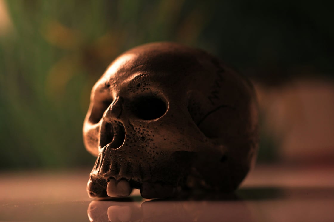 skull