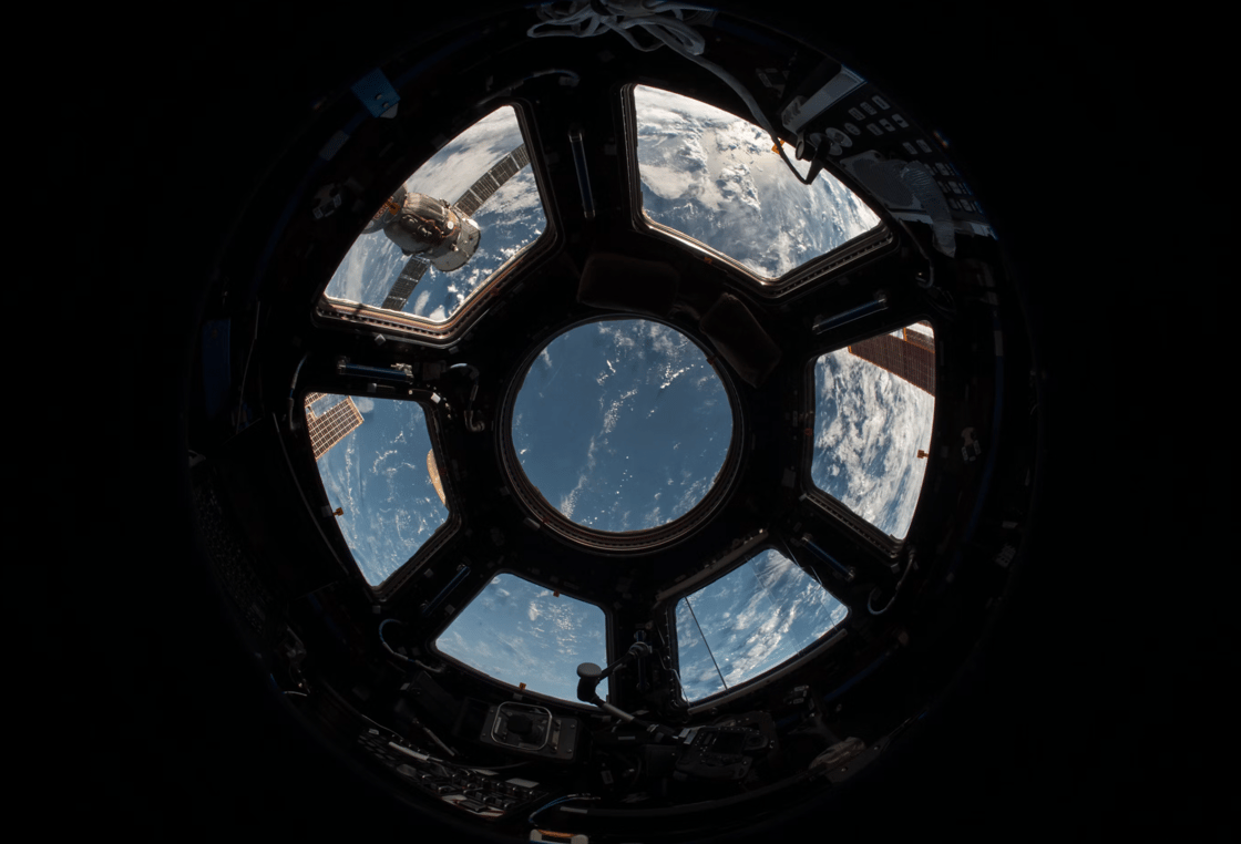 spacecookie-1