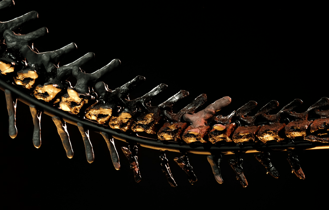 trifossil